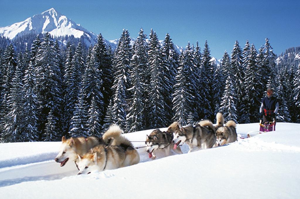 Alpen Select Lodge Kleinwalsertal 里茨勒恩 外观 照片